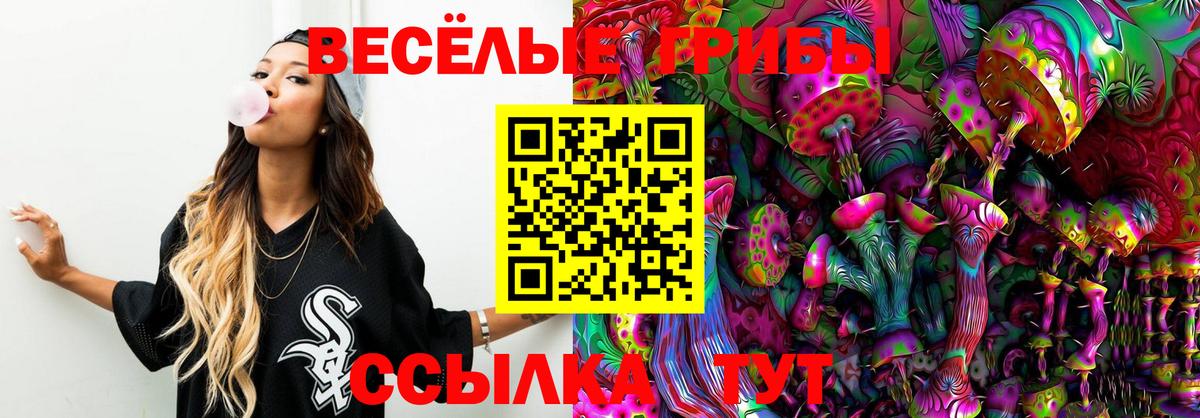 Галлюциногенные грибы прущие грибы  Вход с VPN  Георгиевск 