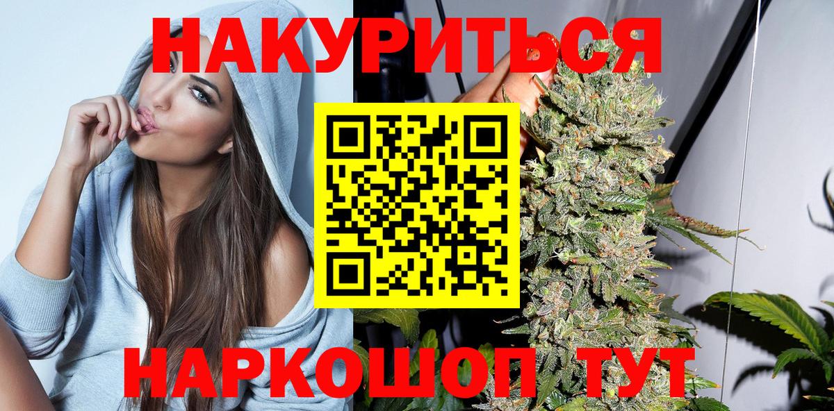 Каннабис сатива Георгиевск
